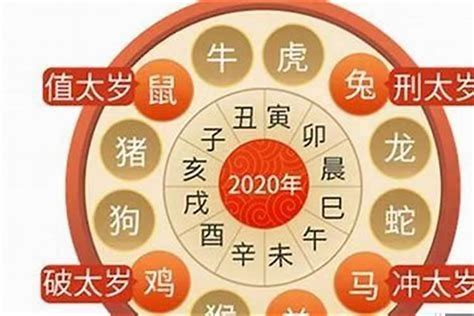 虎年 2023|属虎的人2023年全年运程运势